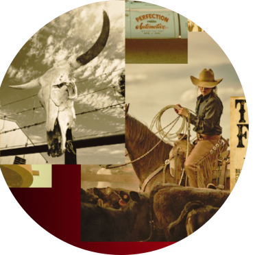 Câu chuyện thương hiệu