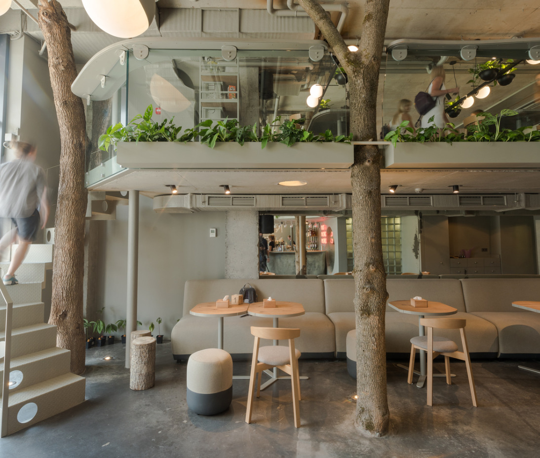 Mẫu Quán Cafe Đẹp Với Không Gian Mở