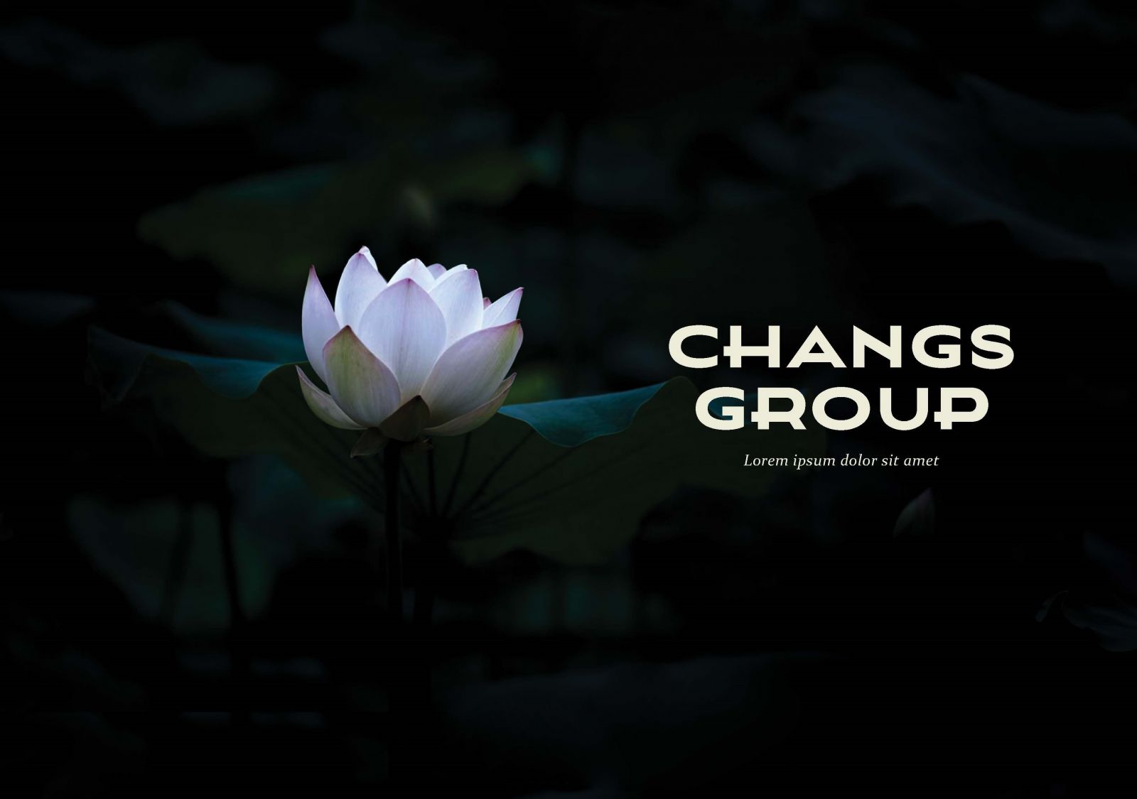 thiet-ke-nhan-dien-thuong-hieu-nha-hang-lau-cua-changs