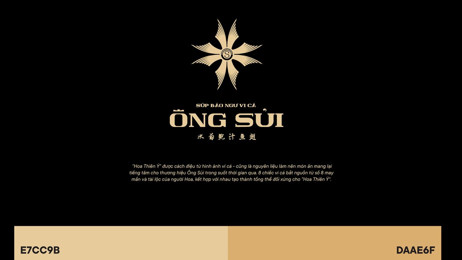 Truyền Tải Hiệu Quả Câu Chuyện Thương Hiệu Vào Không Gian Và Bộ Nhận Diện