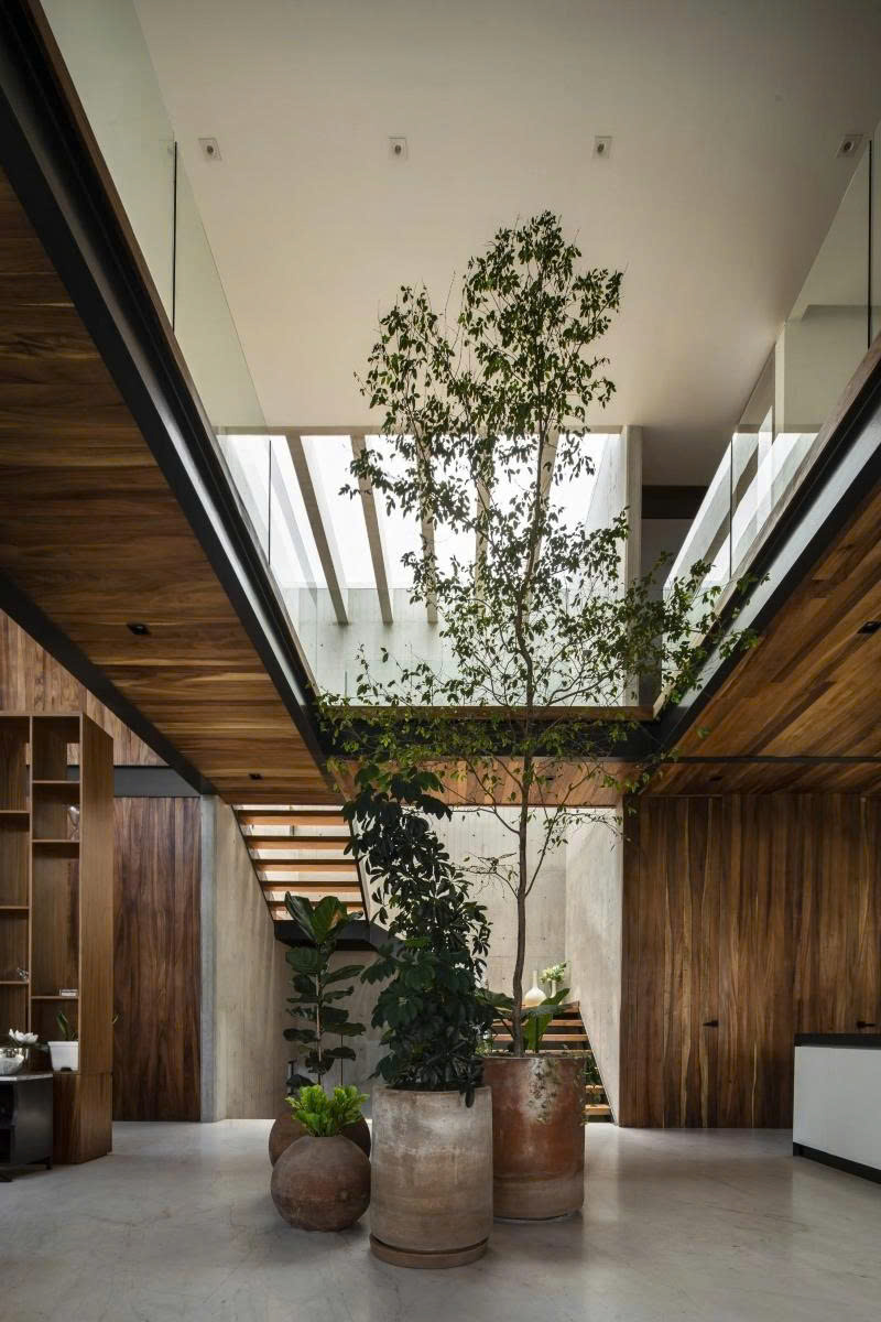 Các kiểu giếng trời phù hợp cho quán cafe