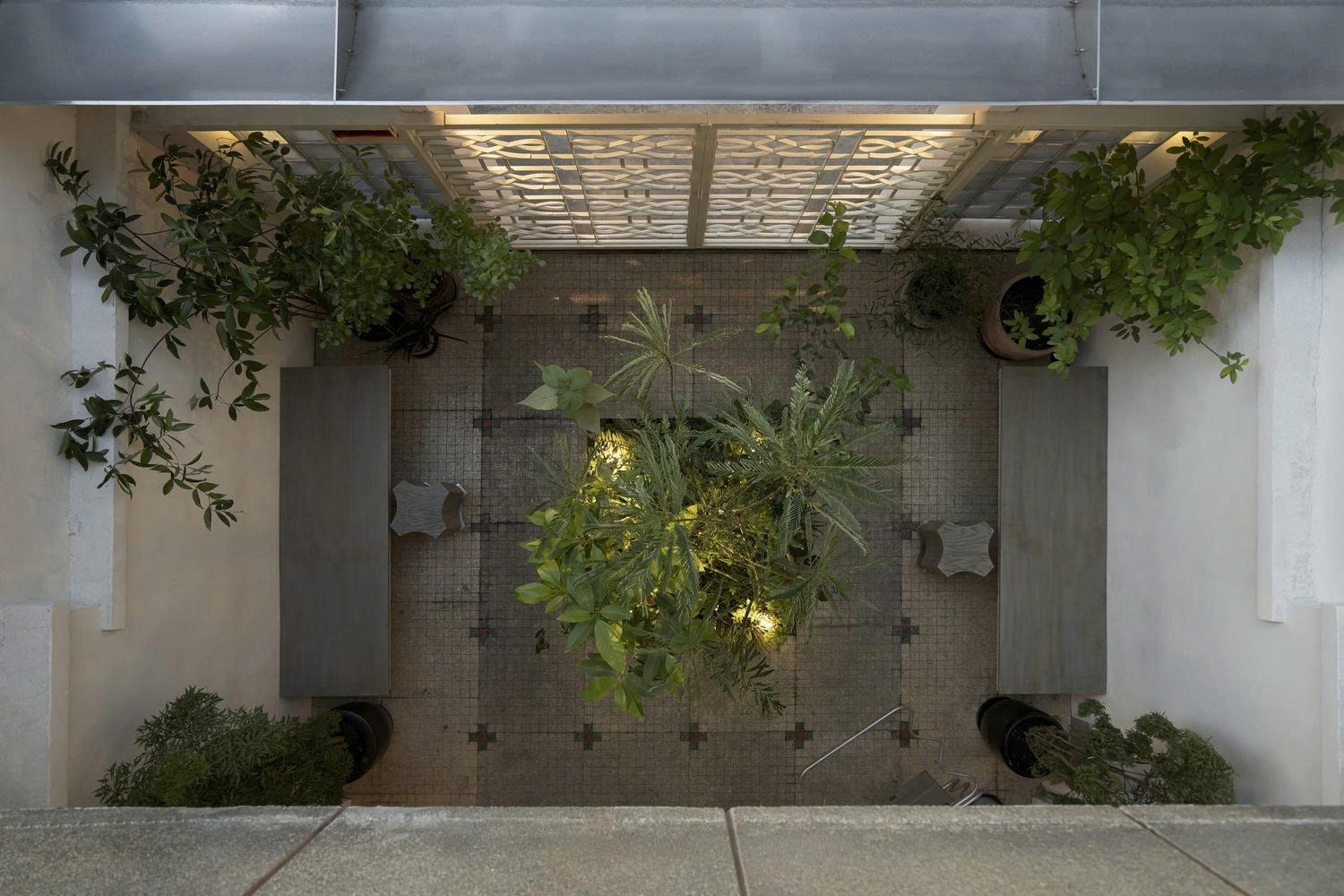 Modernist Tropical Café – Sự tươi mát của Tropical trong tinh thần hiện đại