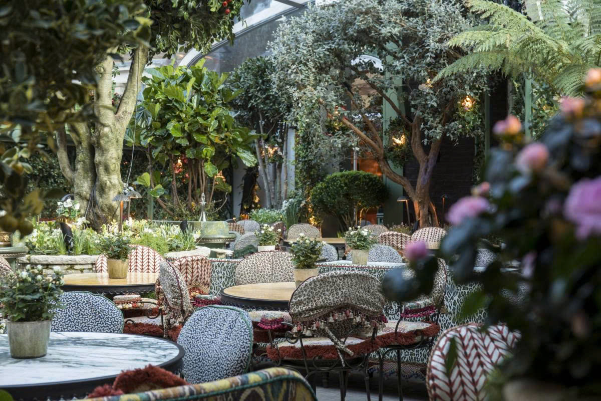 Vì Sao Mô Hình Cà Phê Sân Vườn Là Xu Hướng Dẫn Đầu 2025?