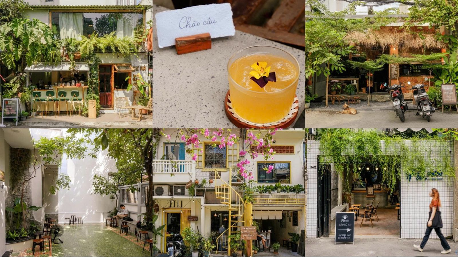 Xu hướng thiết kế quán cafe thu hút giới trẻ năm 2025