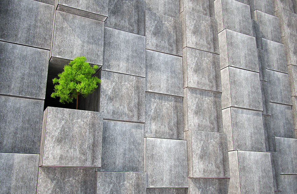 Bê Tông Xanh (Green Concrete)