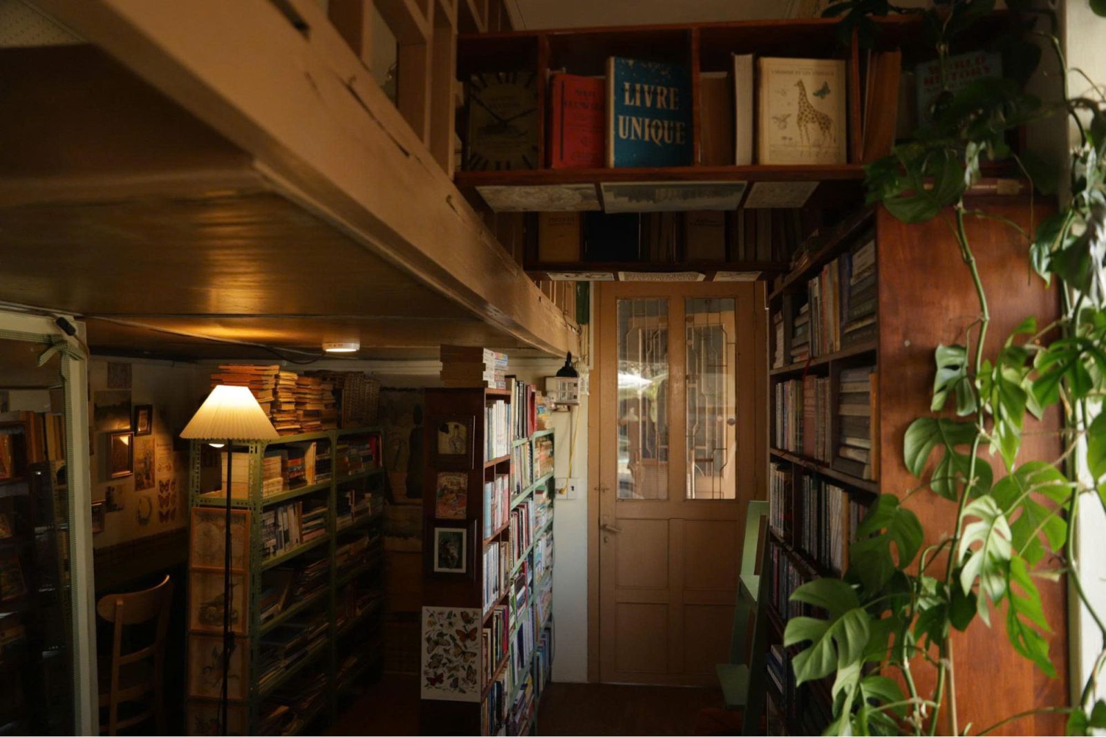 Đặc trưng thiết kế quán cafe xu hướng 2026 